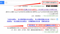 山西临汾染化（集团）有限责任公司与我司做网站推广项目