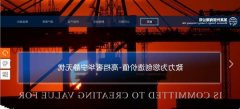 企业网站建设档案系统政务网站绩效评估指标体系构建